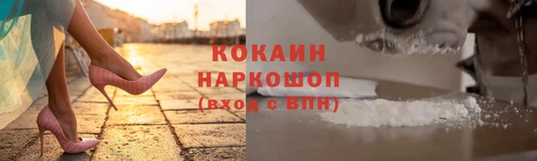 хмурый Алексин