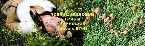шишки Алексеевка