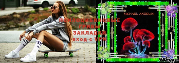 хмурый Алексин