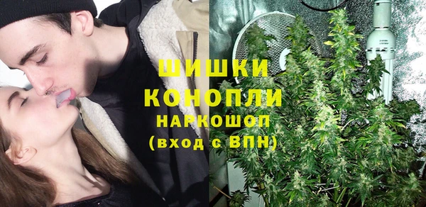 хмурый Алексин