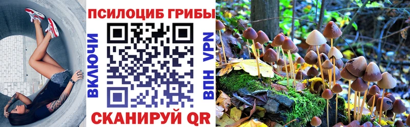 Псилоцибиновые грибы MAGIC MUSHROOMS  Куровское 